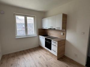 Pronájem bytu 1+1, Ostrava - Mariánské Hory, Cottonové, 37 m2