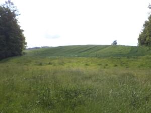 Dražba louky, Pluhův Žďár, 2746 m2