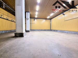 Pronájem skladu, Černožice, 4500 m2