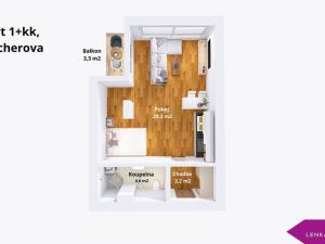 Pronájem bytu 1+kk, Olomouc - Nová Ulice, Bacherova, 37 m2