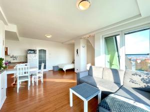 Pronájem bytu 1+kk, Olomouc - Nová Ulice, Bacherova, 37 m2