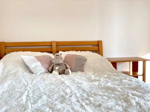 Pronájem bytu 1+kk, Olomouc - Nová Ulice, Bacherova, 37 m2