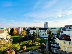 Pronájem bytu 1+kk, Olomouc - Nová Ulice, Bacherova, 37 m2