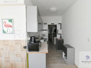 Pronájem bytu 2+1, Ústí nad Labem - Neštěmice, Železná, 60 m2