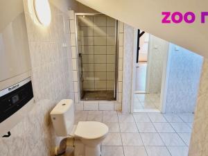 Pronájem bytu 3+kk, Chomutov, Nerudova, 107 m2