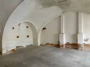 Pronájem výrobních prostor, Planá, Zámecká, 70 m2