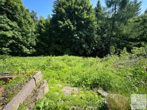 Prodej chaty, Jáchymov - Suchá, 130 m2