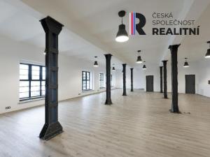 Pronájem obchodního prostoru, Otovice, V Březinkách, 163 m2