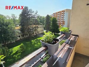 Prodej bytu 2+1, Karviná, Víta Nejedlého, 53 m2