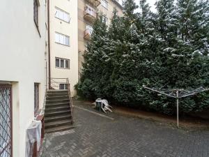 Pronájem bytu 2+kk, Olomouc, Masarykova třída, 81 m2