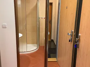 Pronájem bytu 1+kk, Praha - Michle, Hadovitá, 20 m2