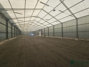 Pronájem skladu, Praha - Letňany, Beranových, 1350 m2