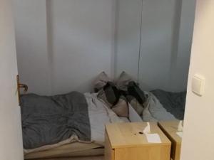 Prodej bytu 2+1, Brno, Dvorského, 45 m2