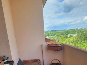 Prodej bytu 2+1, Ostrava, 1. československého armádního sboru, 55 m2