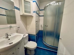 Prodej bytu 1+kk, České Budějovice, Plzeňská, 20 m2