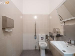 Pronájem obchodního prostoru, Brno, Kobližná, 395 m2