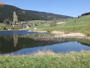 Prodej apartmánu, Staré Město - Chrastice, 274 m2