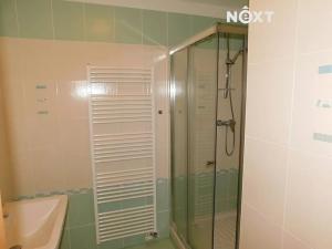 Pronájem bytu 1+kk, Černý Důl, 28 m2