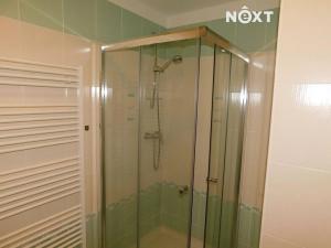 Pronájem bytu 1+kk, Černý Důl, 28 m2