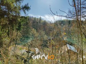 Prodej chaty, Ochoz u Brna, 50 m2