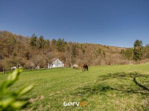 Prodej chaty, Ochoz u Brna, 50 m2