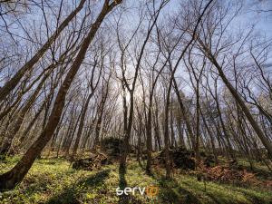 Prodej chaty, Ochoz u Brna, 50 m2