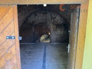 Prodej vinného sklepa, Horní Věstonice, Mandloňová, 130 m2