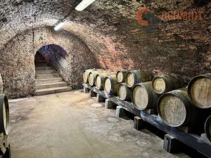 Prodej vinného sklepa, Horní Věstonice, Mandloňová, 130 m2