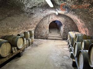 Prodej vinného sklepa, Horní Věstonice, Mandloňová, 130 m2