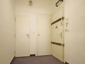 Pronájem bytu 1+kk, Praha - Vinohrady, Londýnská, 35 m2