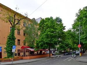 Pronájem bytu 1+kk, Praha - Vinohrady, Londýnská, 35 m2