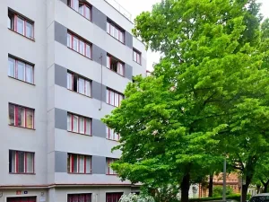 Pronájem bytu 1+kk, Praha - Vinohrady, Londýnská, 35 m2