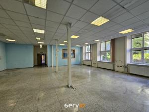 Pronájem kanceláře, Brno, Milady Horákové, 345 m2