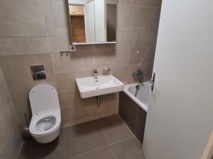 Pronájem bytu 2+kk, Brno, Hvězdová, 65 m2