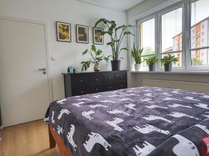 Prodej bytu 3+kk, Praha - Vršovice, Dukelská, 63 m2