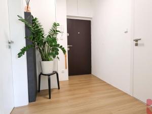 Prodej bytu 3+kk, Praha - Vršovice, Dukelská, 63 m2