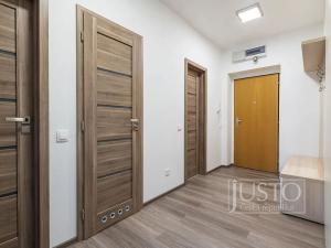 Pronájem bytu 2+kk, Staré Město, Mahenova, 45 m2