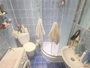 Pronájem bytu 1+kk, Praha - Nusle, Na Veselí, 28 m2