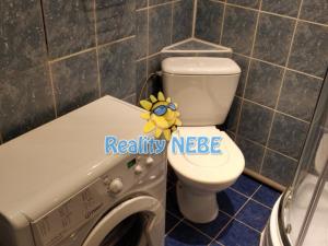Pronájem bytu 1+kk, Praha - Nusle, Na Veselí, 28 m2