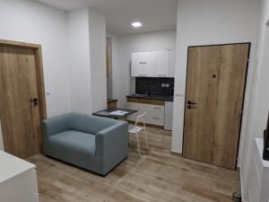 Pronájem bytu 1+kk, Jihlava, Seifertova, 26 m2
