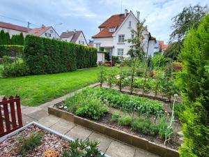 Pronájem bytu 1+kk, Nový Jičín, Husova, 40 m2