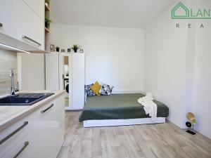 Pronájem bytu 1+kk, Brno, Palackého třída, 24 m2