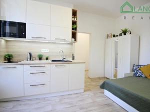 Pronájem bytu 1+kk, Brno, Palackého třída, 24 m2