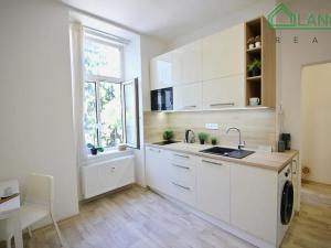 Pronájem bytu 1+kk, Brno, Palackého třída, 24 m2