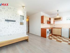 Pronájem bytu 1+1, Slaný, Na Vavřinci, 34 m2