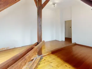 Prodej bytu 3+1, Průhonice, Říčanská, 171 m2