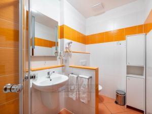Prodej atypického bytu, Frymburk, 30 m2