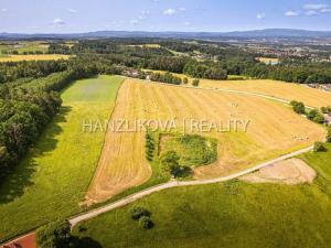Prodej pozemku pro bydlení, Dubičné, 4385 m2