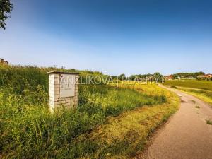 Prodej pozemku pro bydlení, Dubičné, 4385 m2