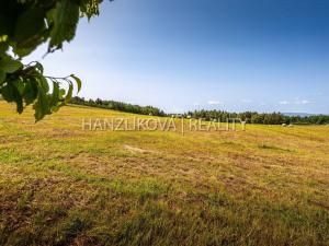 Prodej pozemku pro bydlení, Dubičné, 4385 m2